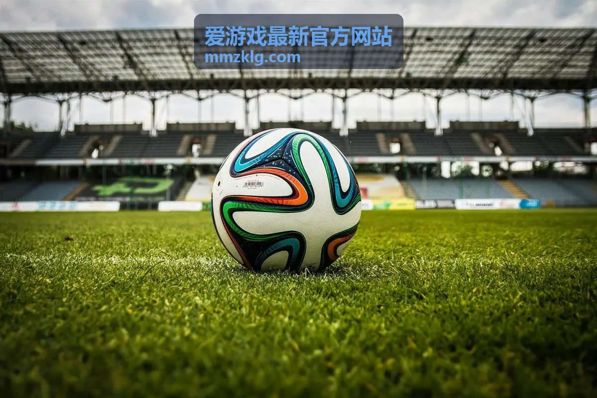爱游戏最新官方网站精品资源图鉴中的日常记录与核对模板
